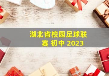 湖北省校园足球联赛 初中 2023